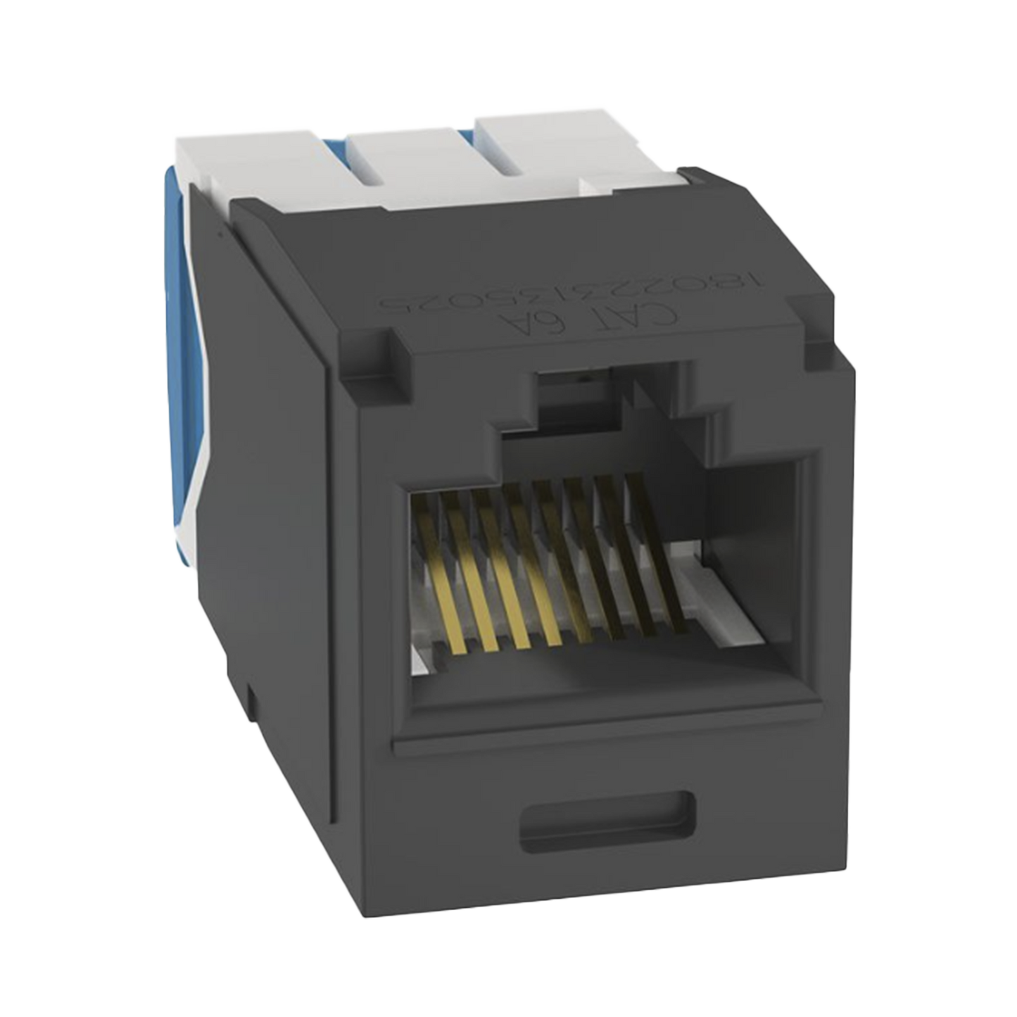 CJ6X88TGBL|Conector Jack RJ45 Estilo TG, Mini-Com, Categoría 6A, de 8 posiciones y 8 cables, Color Negro