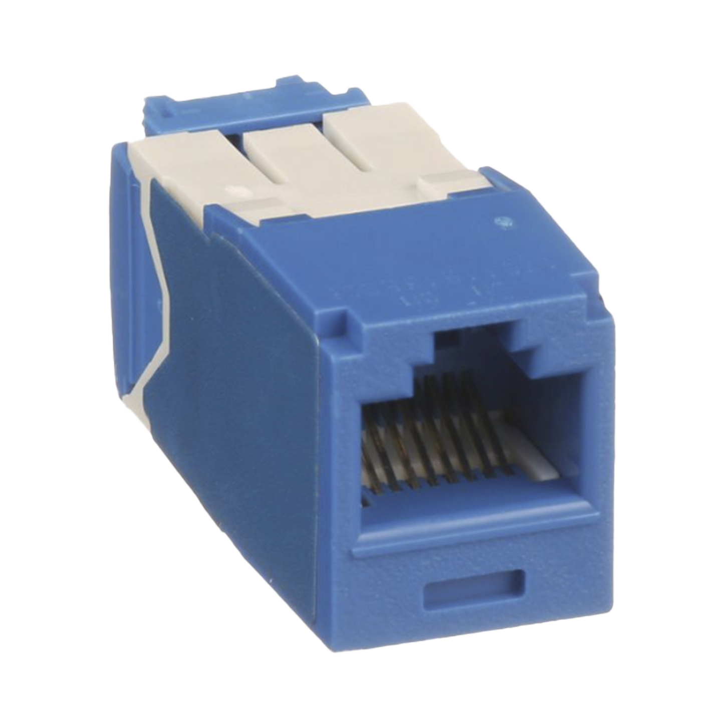 CJ6X88TGBU|Conector Jack RJ45 Estilo TG, Mini-Com, Categoría 6A, de 8 posiciones y 8 cables, Color Azul