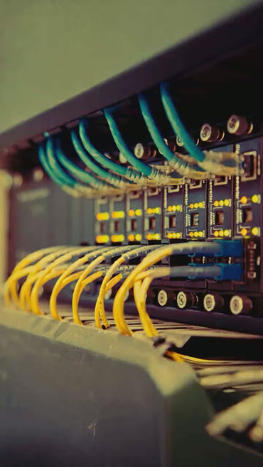 HC6P10-FT|CABLE DE PARCHEO 6 10 ft  PURPURA